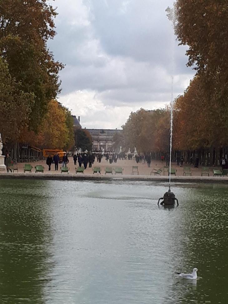paris-jardin-des-tuileries-to-arc-du-carrousel-louvre-nov19