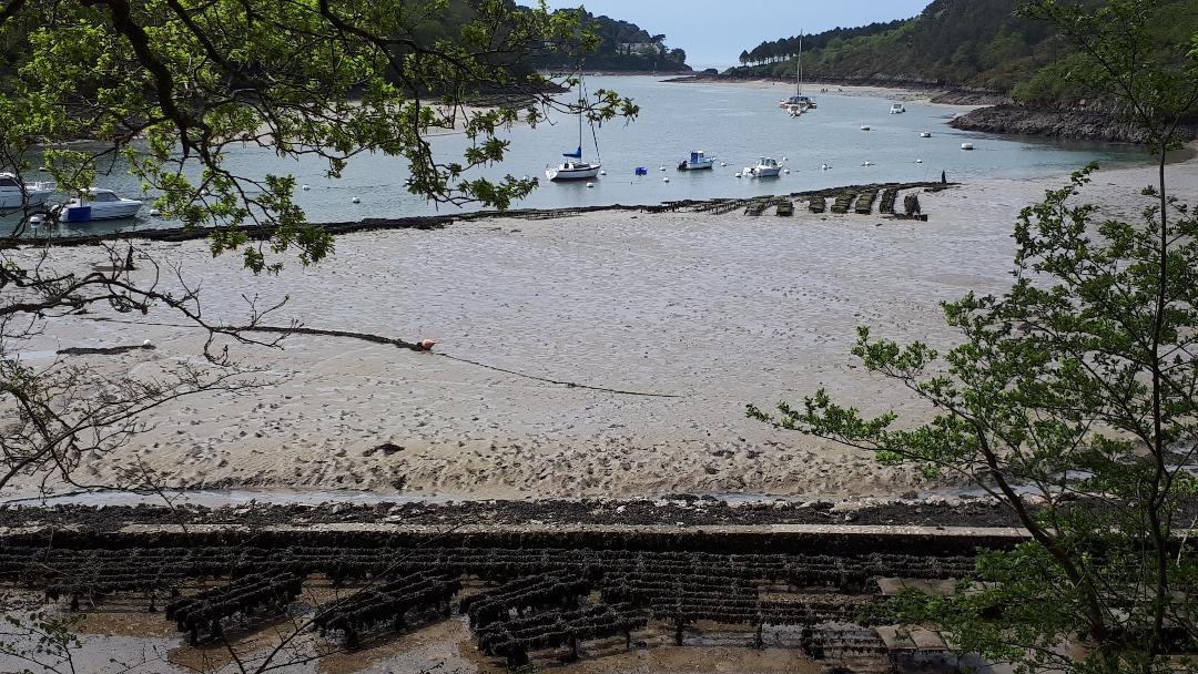 riec-sur-belon-port-harbor-out-to-ocean-apr19