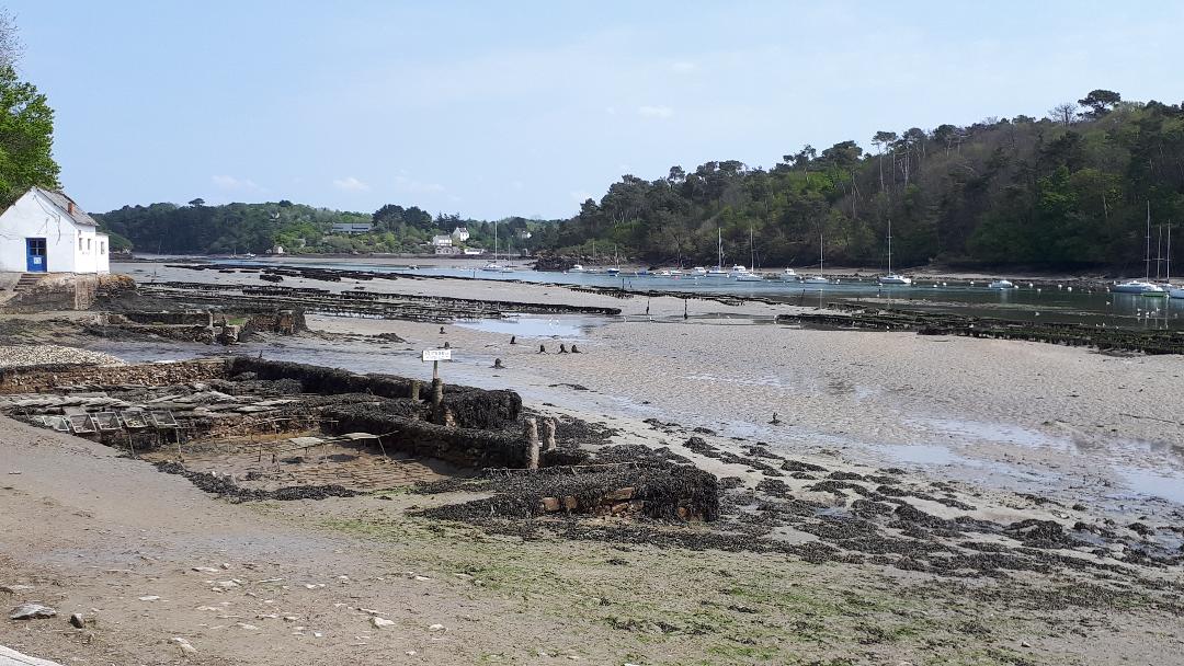 riec-sur-belon-port-oysters-beds-apr19