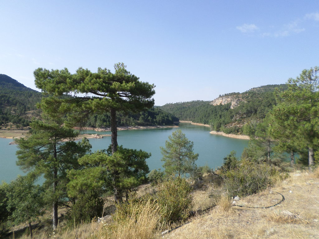 SAMSUNG CAMERA PICTURES