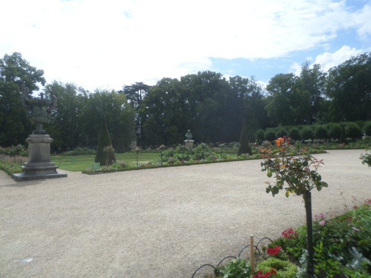 SAMSUNG CAMERA PICTURES