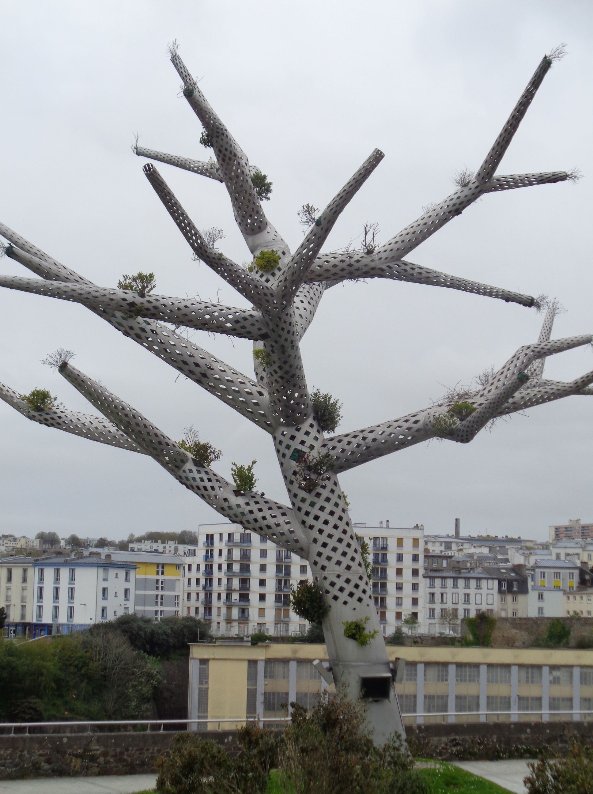 Brest L’arbre empathique apr23