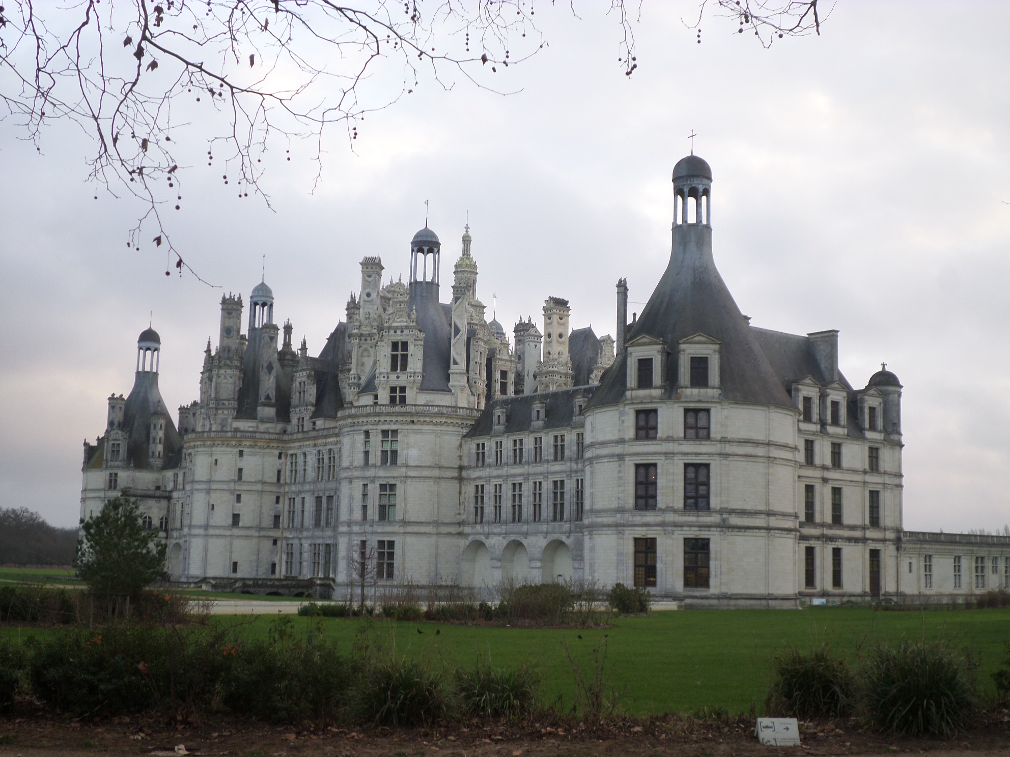 SAMSUNG CAMERA PICTURES