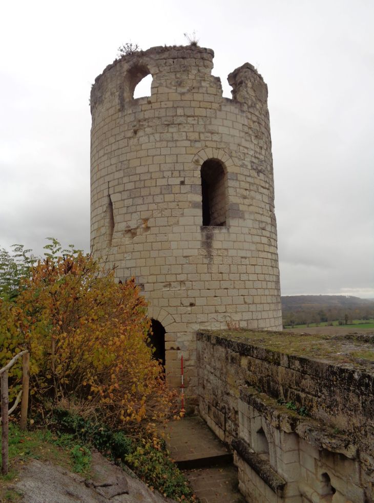 Chinon fortress tour back nov21