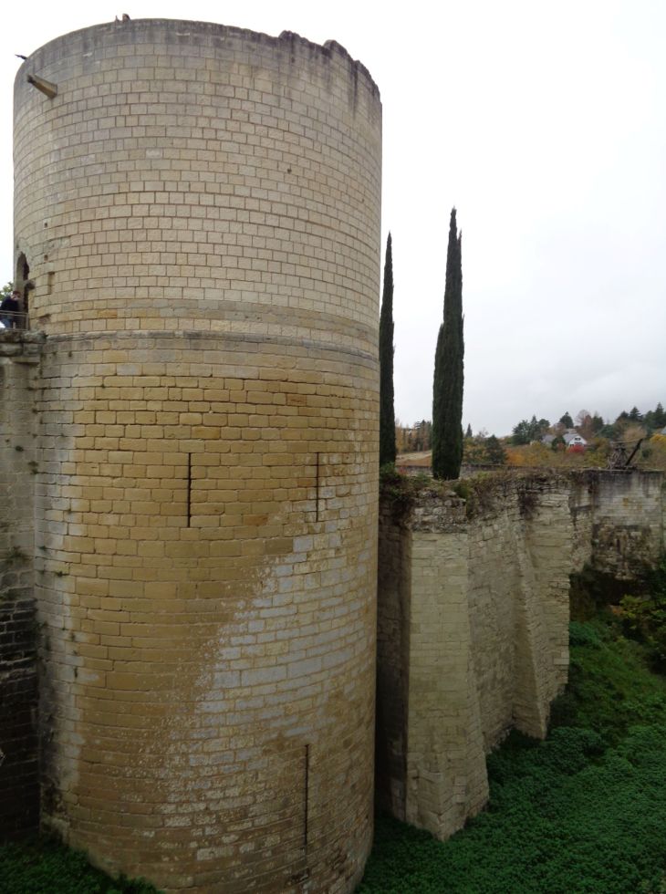Chinon fortress tour middle nov21