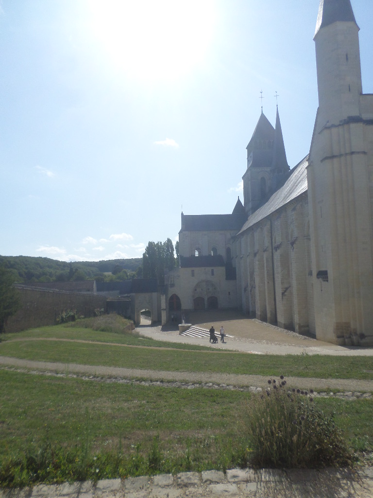 SAMSUNG CAMERA PICTURES