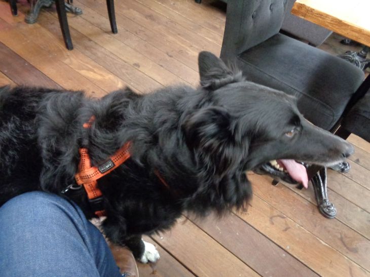 Honfleur Au Relais des Cyclistes resto Rex apr23