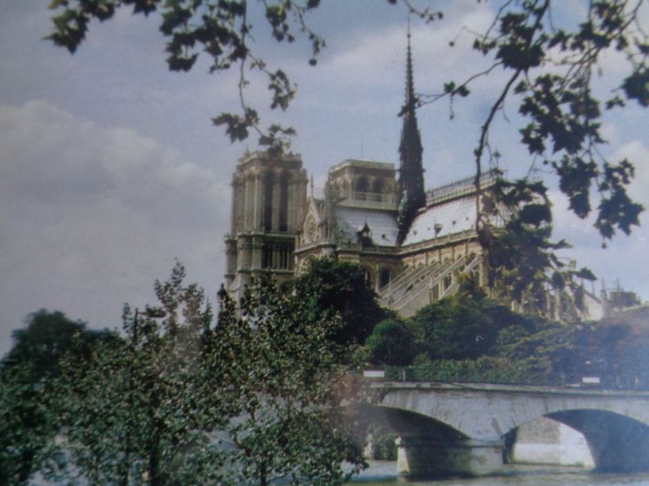 Paris Notre Dame back pont de l'archeveque