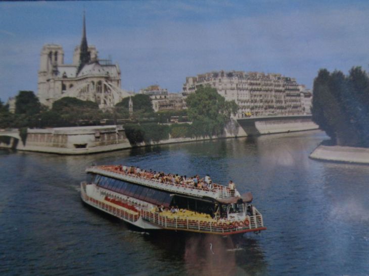 Paris seine boating back ND cat pont de la tournelle