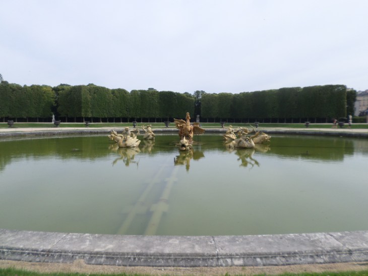 SAMSUNG CAMERA PICTURES