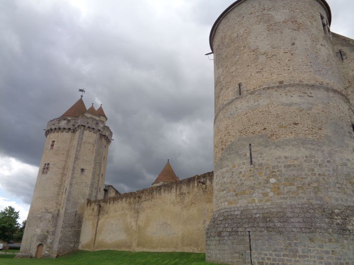 Blandy les Tours castle towers 3 may23