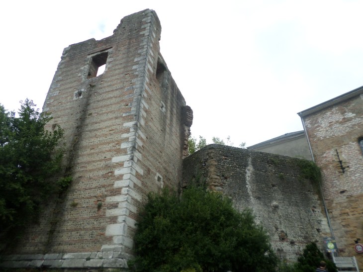 SAMSUNG CAMERA PICTURES