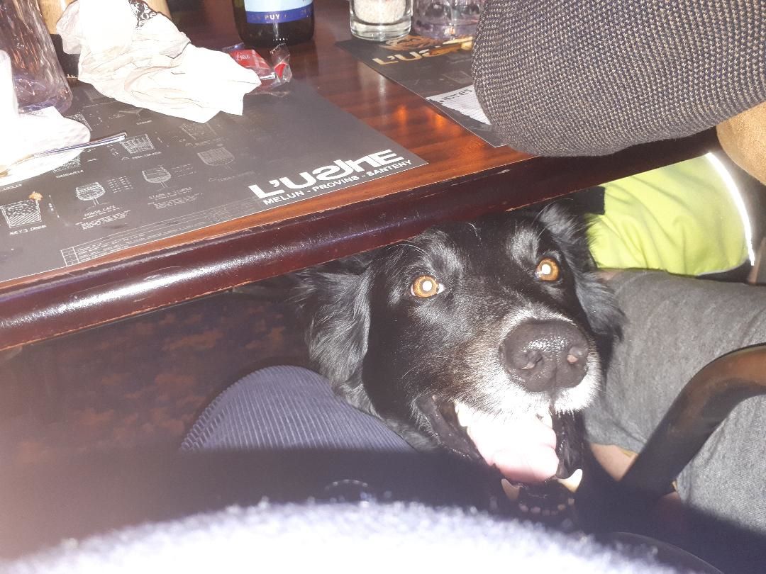 Melun l'Usine pub bar resto Rex may23