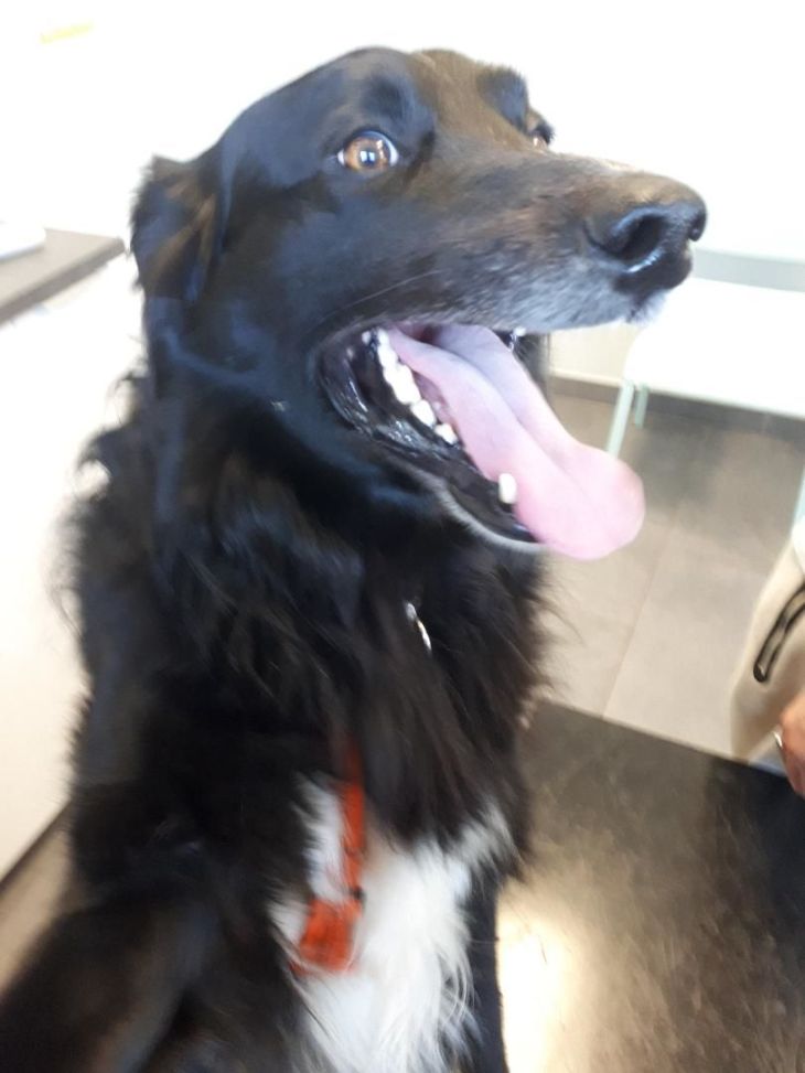 Rex clinique de chene Rex side passport may23