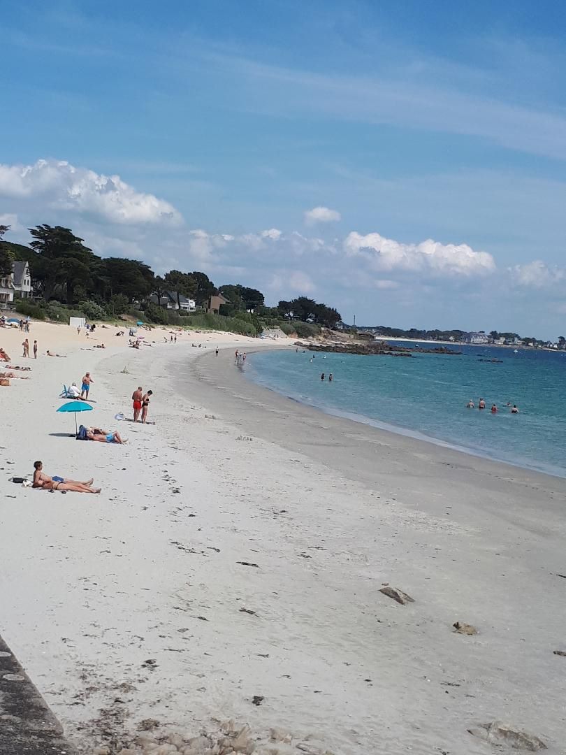 Carnac plage de Legenese closeup jun23