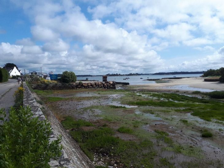 Locmariaquer ets percevault huitres huitres moules jun23