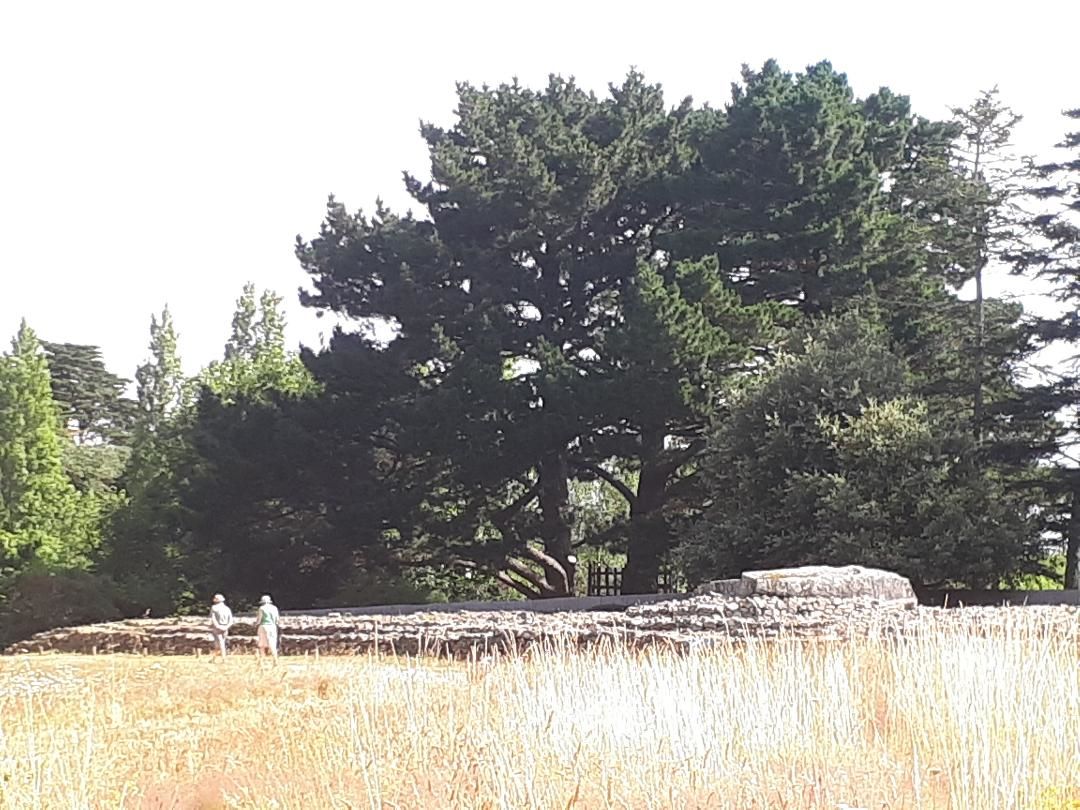 Locmariaquer megaliths tumulus far jun23