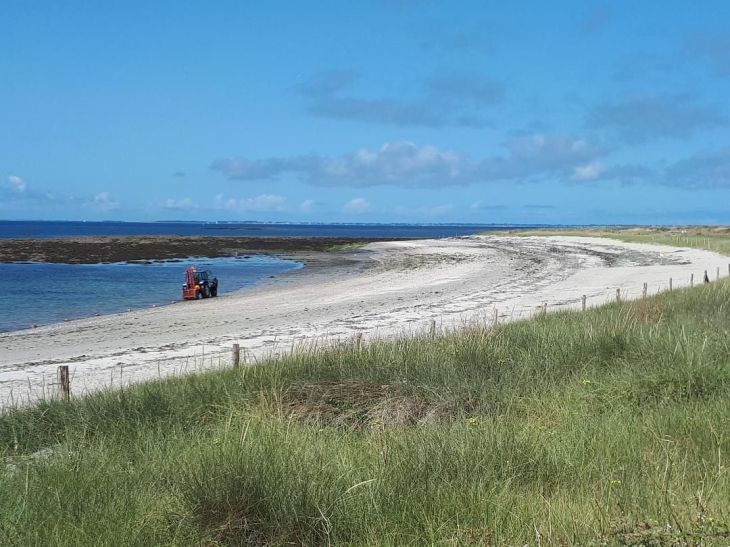 Locmariaquer plage Kerpenhir cleaning jun23
