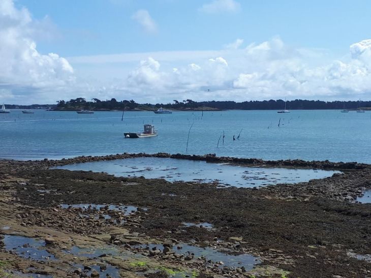 Locmariaquer port Guilvin ferries boats jun23