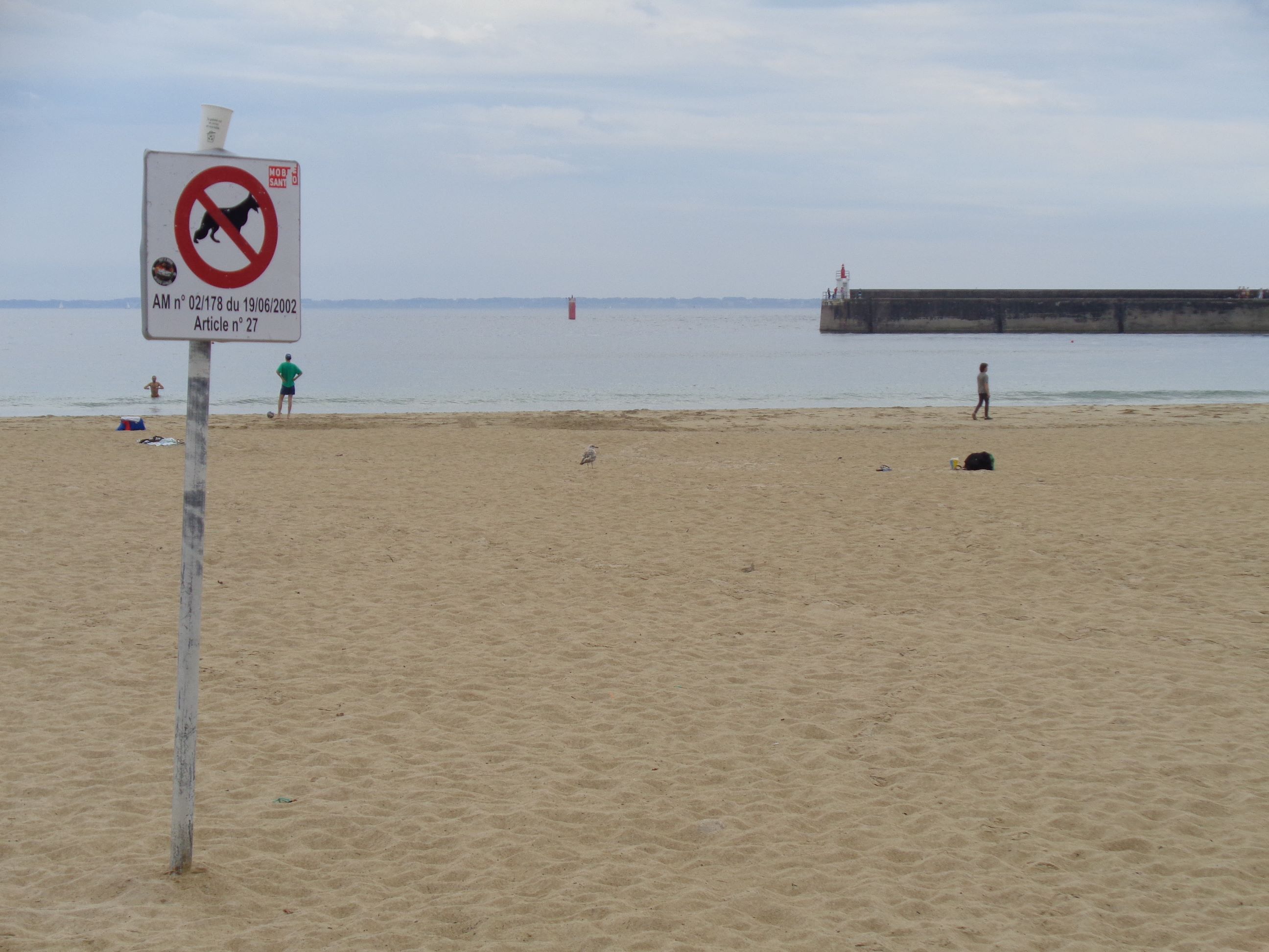 Quiberon grande plage to jerry ferry terminal jun23