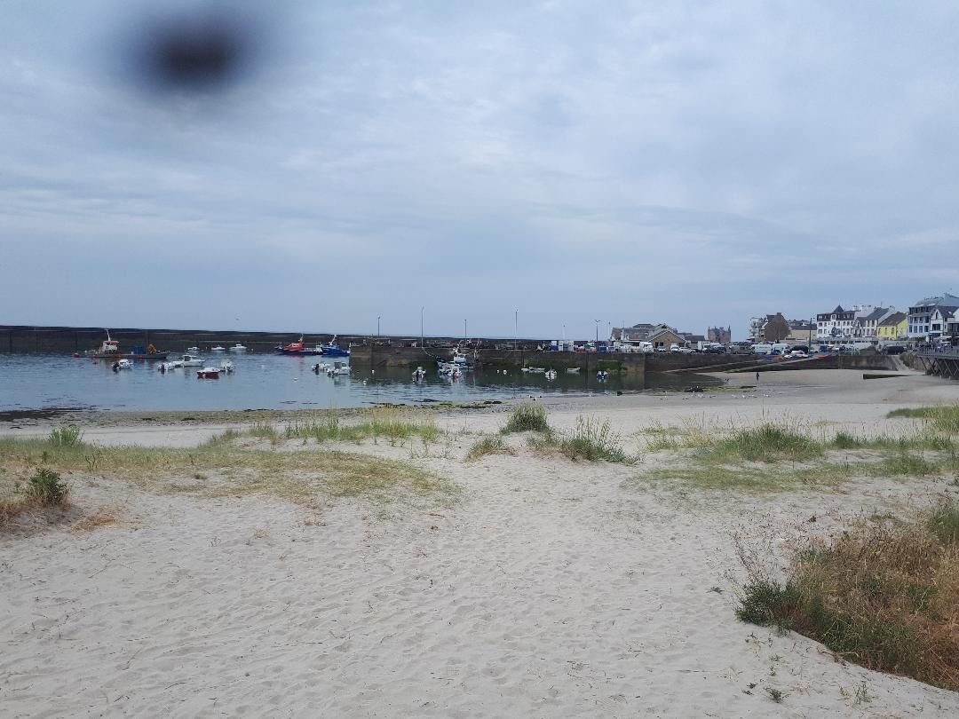 Quiberon port of quiberon fishing coop jun23