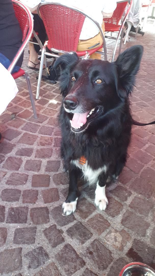 Rouen Brasserie Paul Rex jun23