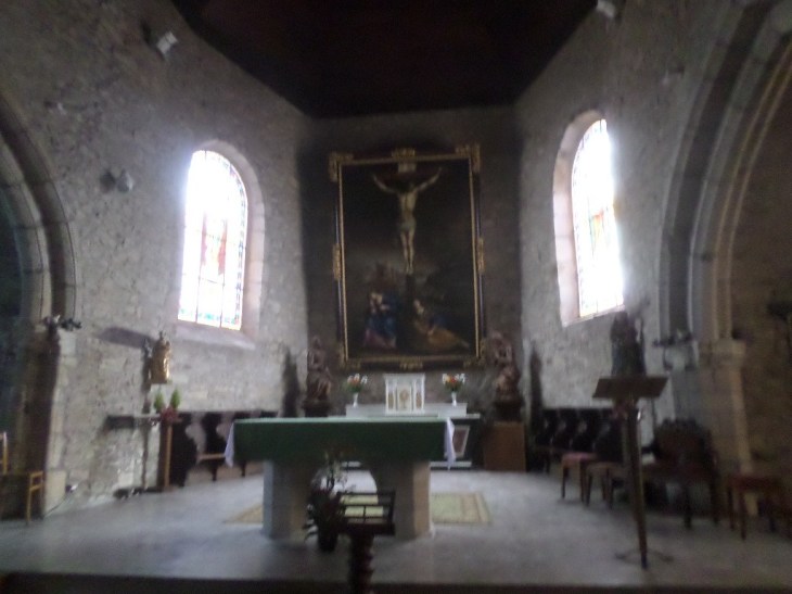 SAMSUNG CAMERA PICTURES