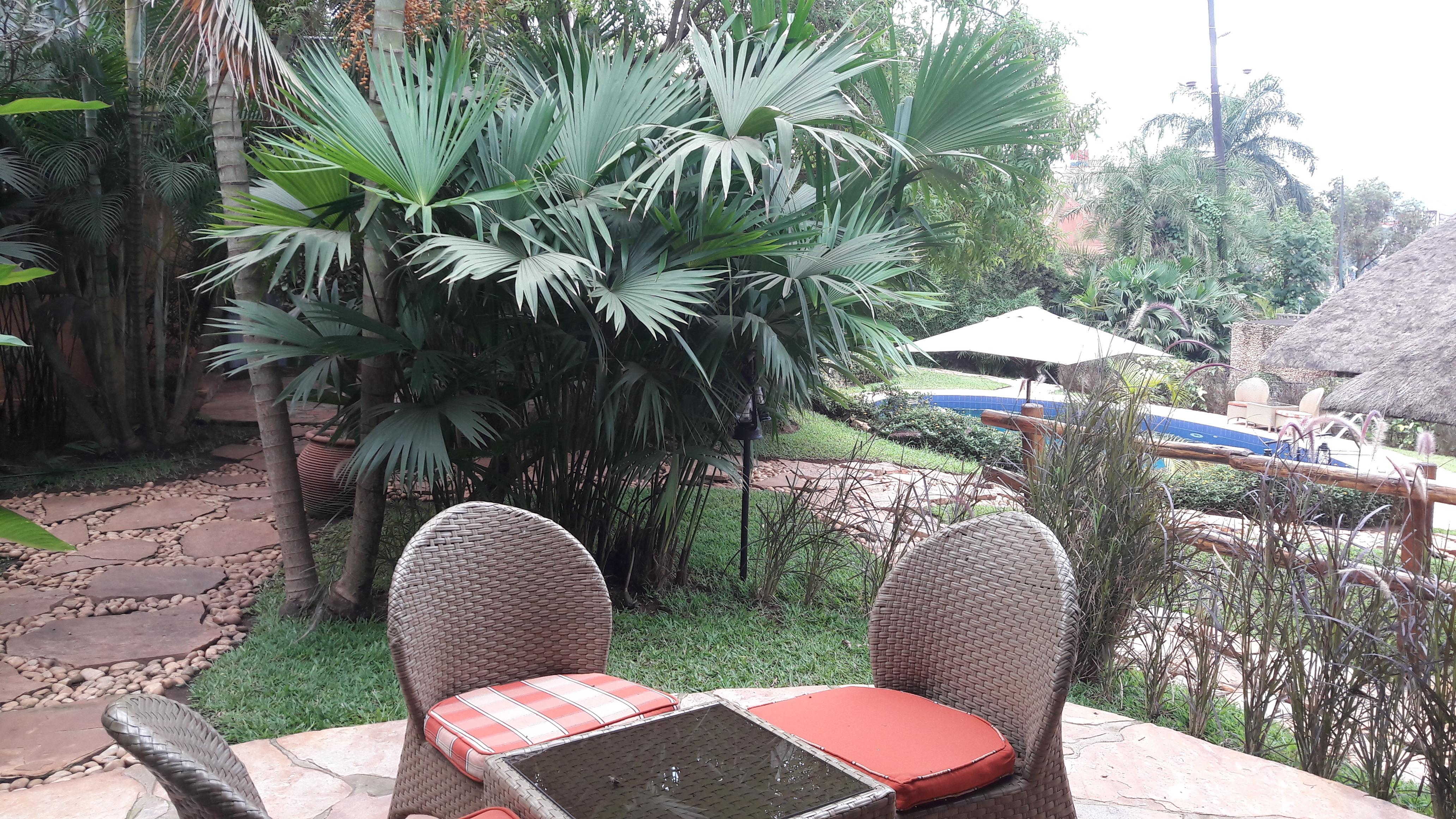 kampala le petit village room to patio and pool apr18