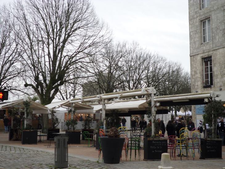 SAMSUNG CAMERA PICTURES