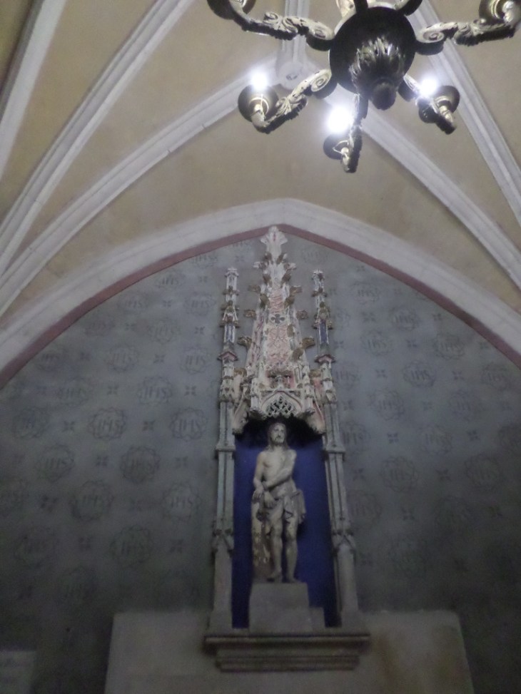 SAMSUNG CAMERA PICTURES