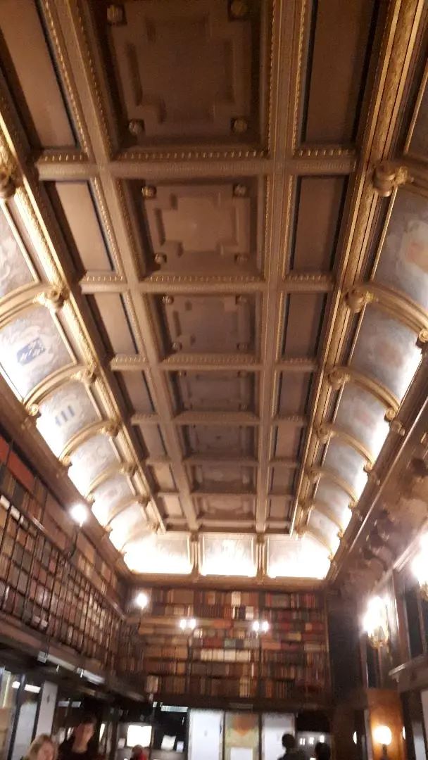 chantilly-castle-library-ceiling-nov19
