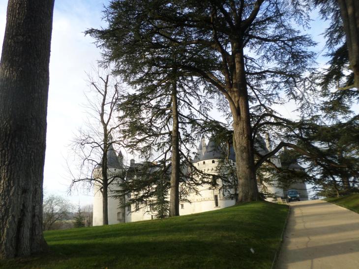 SAMSUNG CAMERA PICTURES