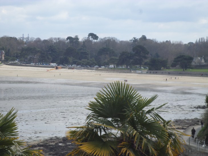 SAMSUNG CAMERA PICTURES