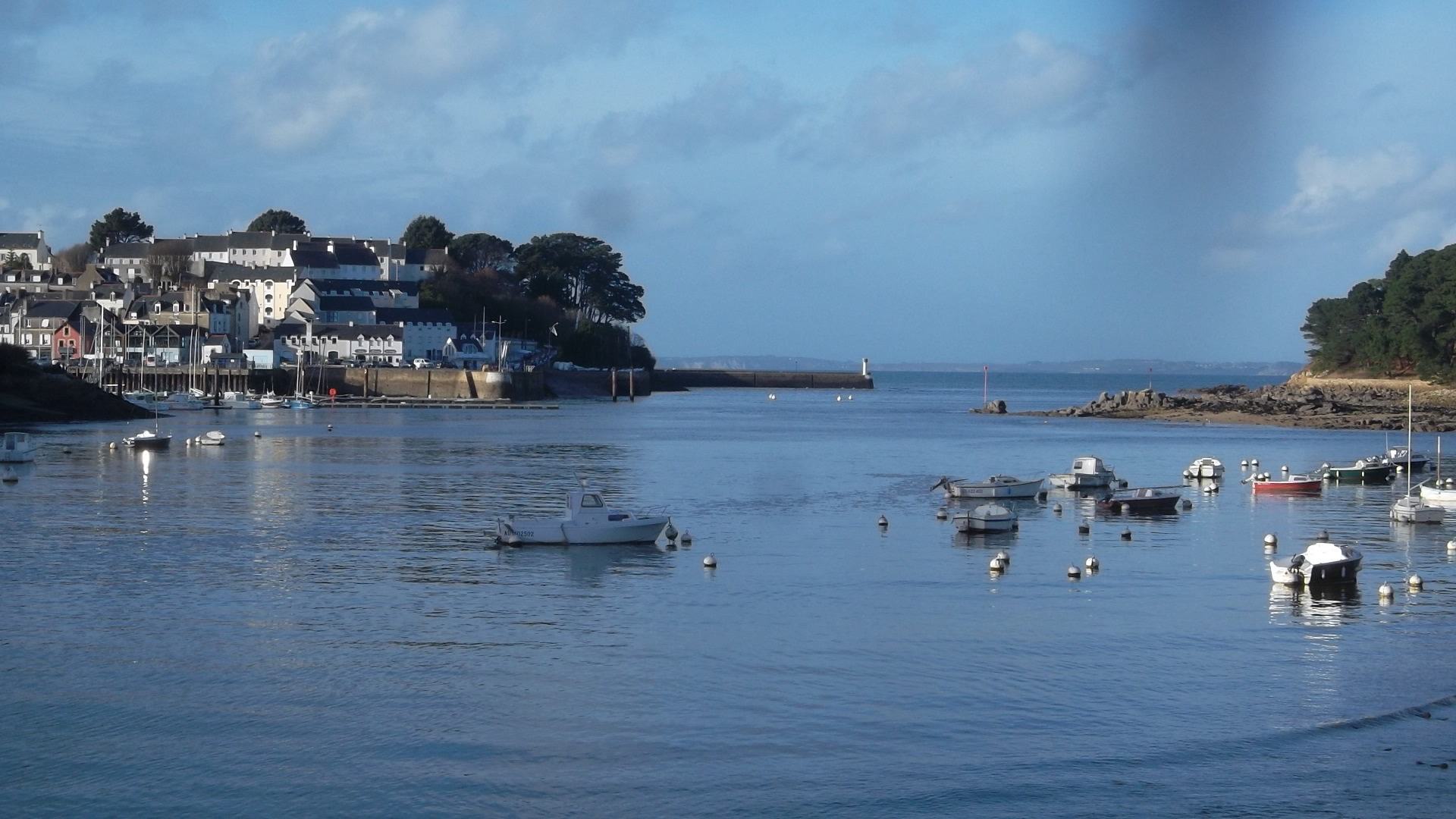 Douarnenez port Rhu out to sea dec13