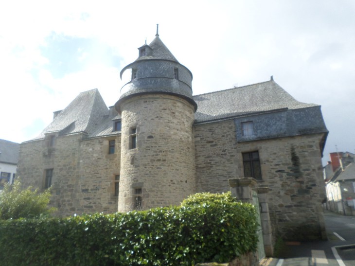 SAMSUNG CAMERA PICTURES