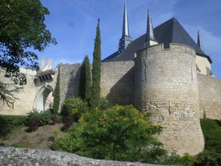 SAMSUNG CAMERA PICTURES