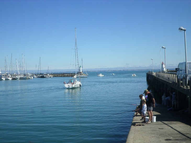 SAMSUNG CAMERA PICTURES