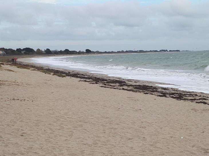 sarzeau plage penvins left side nov18