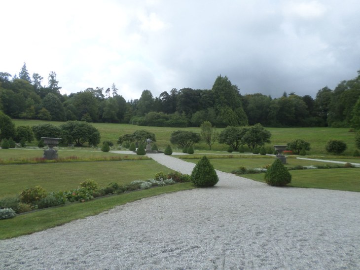 SAMSUNG CAMERA PICTURES