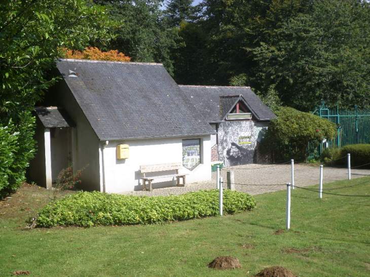 SAMSUNG CAMERA PICTURES