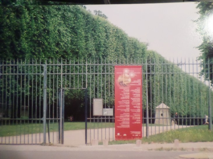 SAMSUNG CAMERA PICTURES