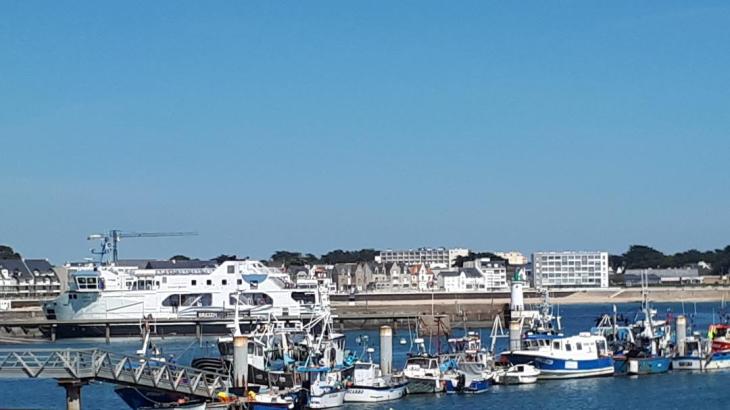 quiberon port pecheurs et gare maritime may20