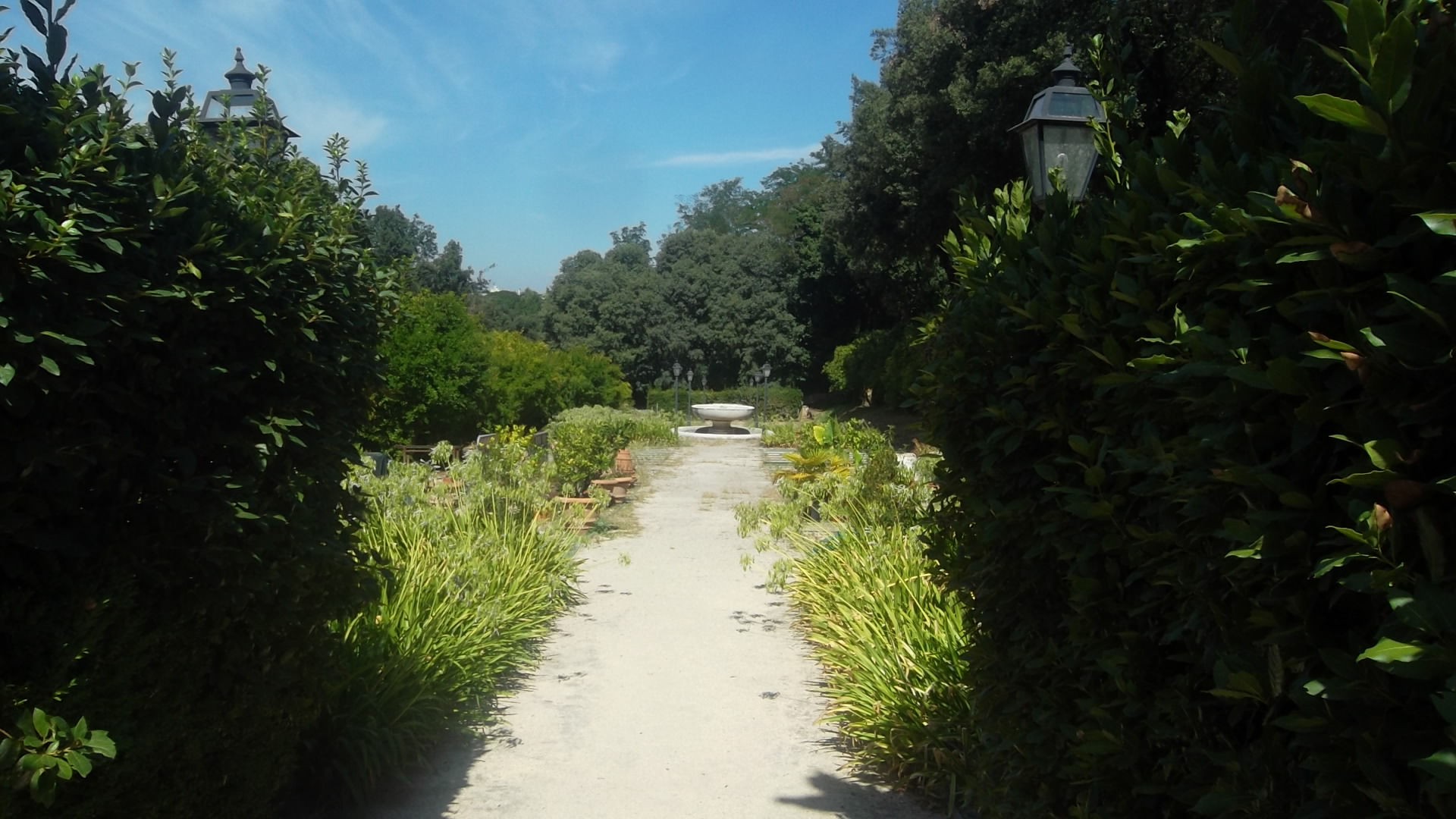 roma villa borghese inside gardens trees aug13