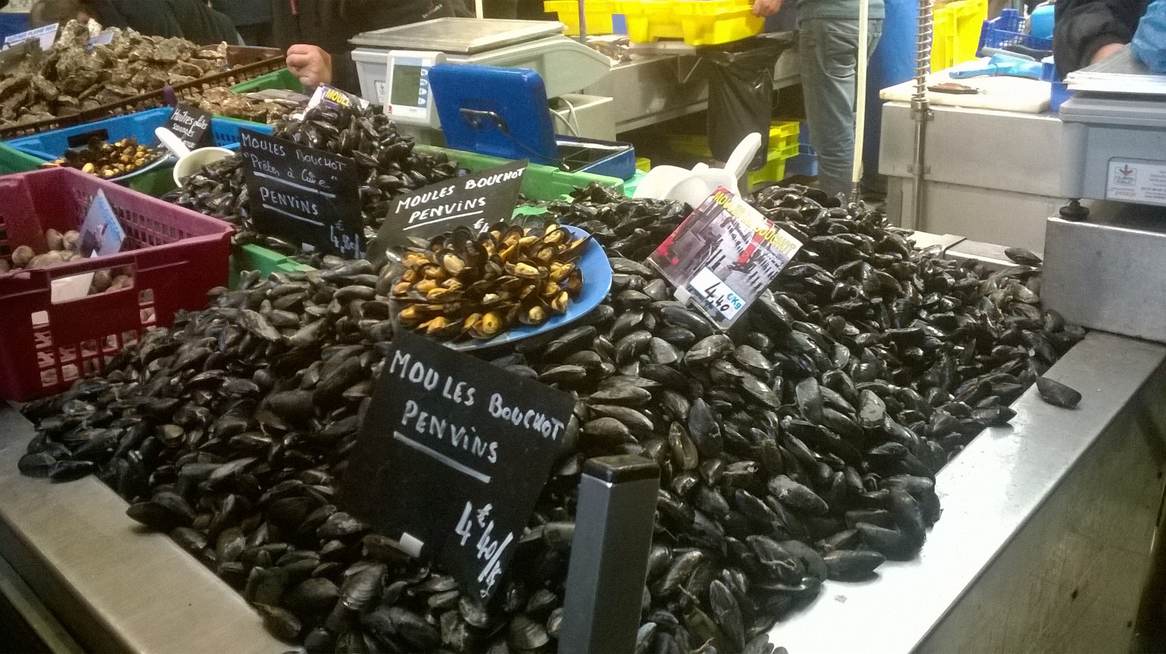 vannes market halle aux poissons moules bouchot penvins oct17