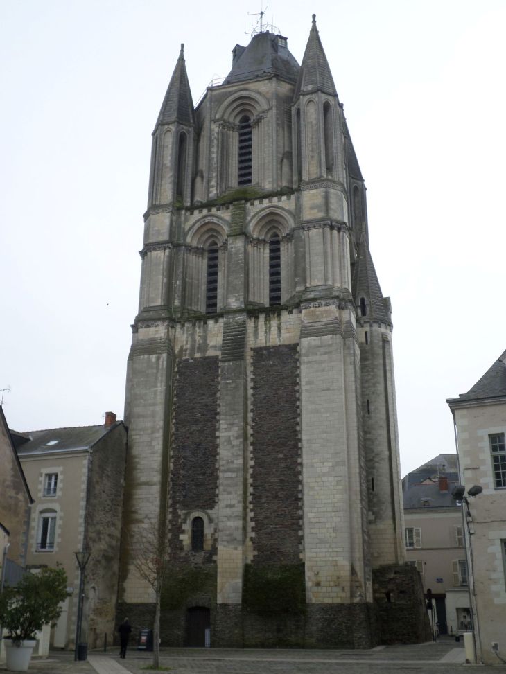 angers-tour-saint-aubin-back-feb15