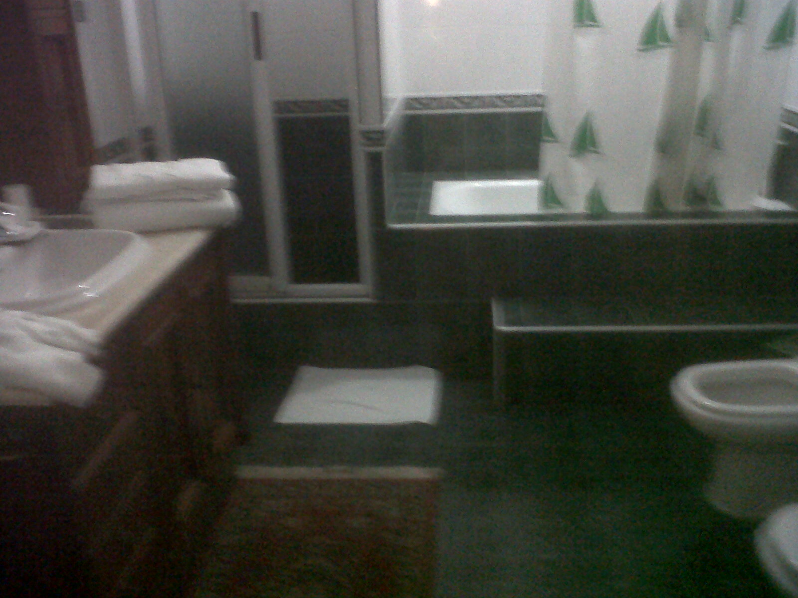 havana Rogelio casa particular bathroom Feb12