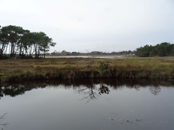 Locoal Mendon anse de locoal bec cognel wide nov23