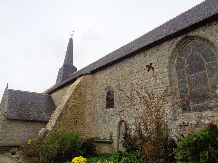 Locoal Mendon ch Saint Goal side front nov23