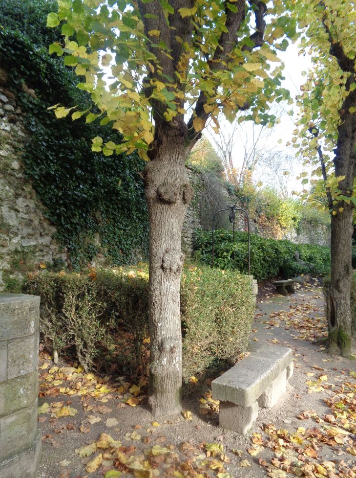 Meaux jardin bossuet back ramparts nov23