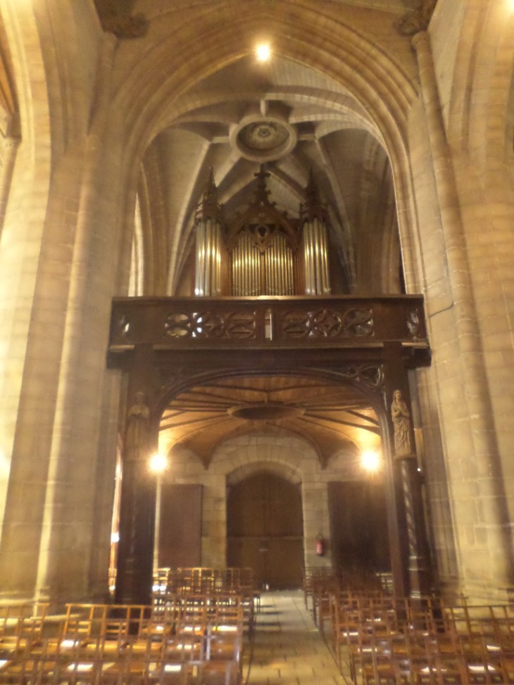 SAMSUNG CAMERA PICTURES